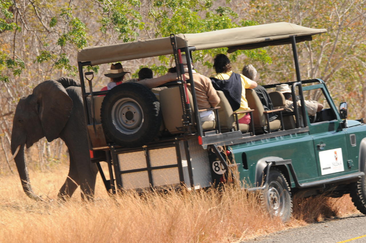 Ngoma Safari Lodge Kavimba Exteriér fotografie
