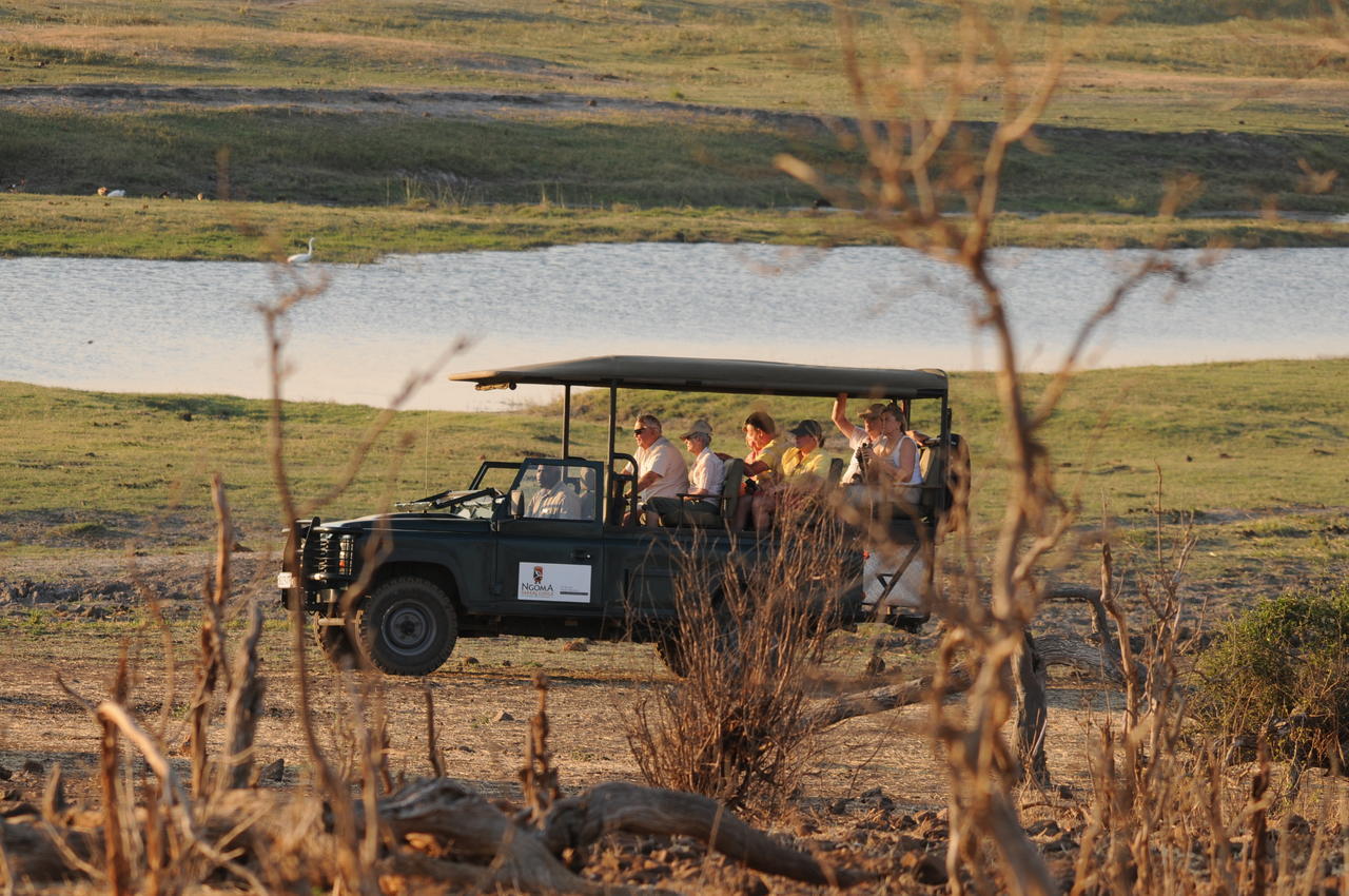Ngoma Safari Lodge Kavimba Exteriér fotografie