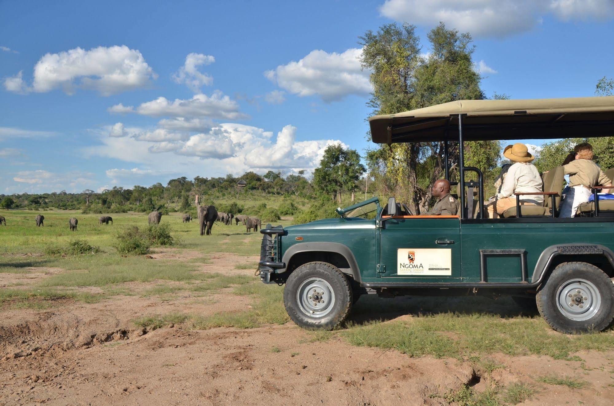Ngoma Safari Lodge Kavimba Exteriér fotografie